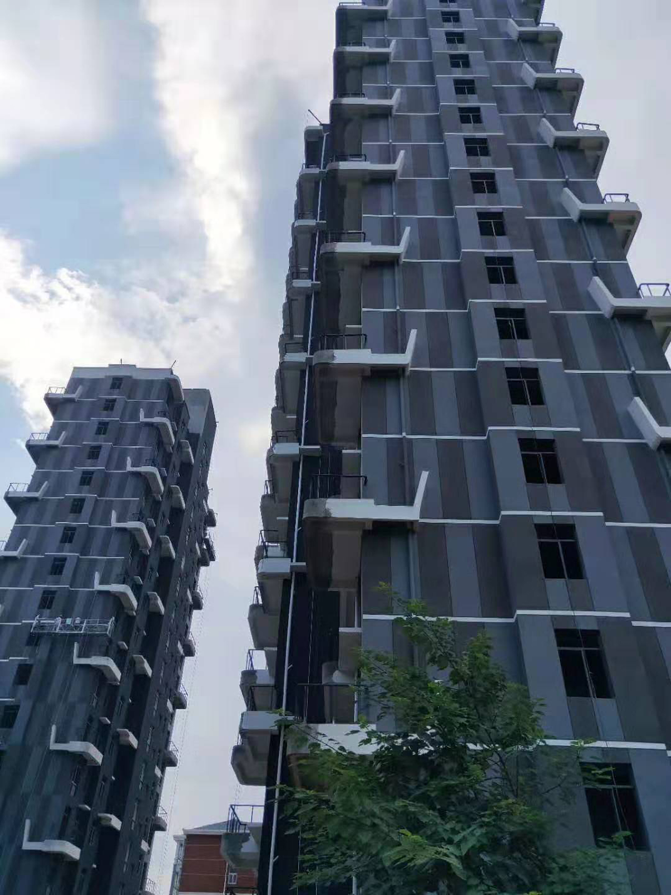 柘城县香樟园.jpg
