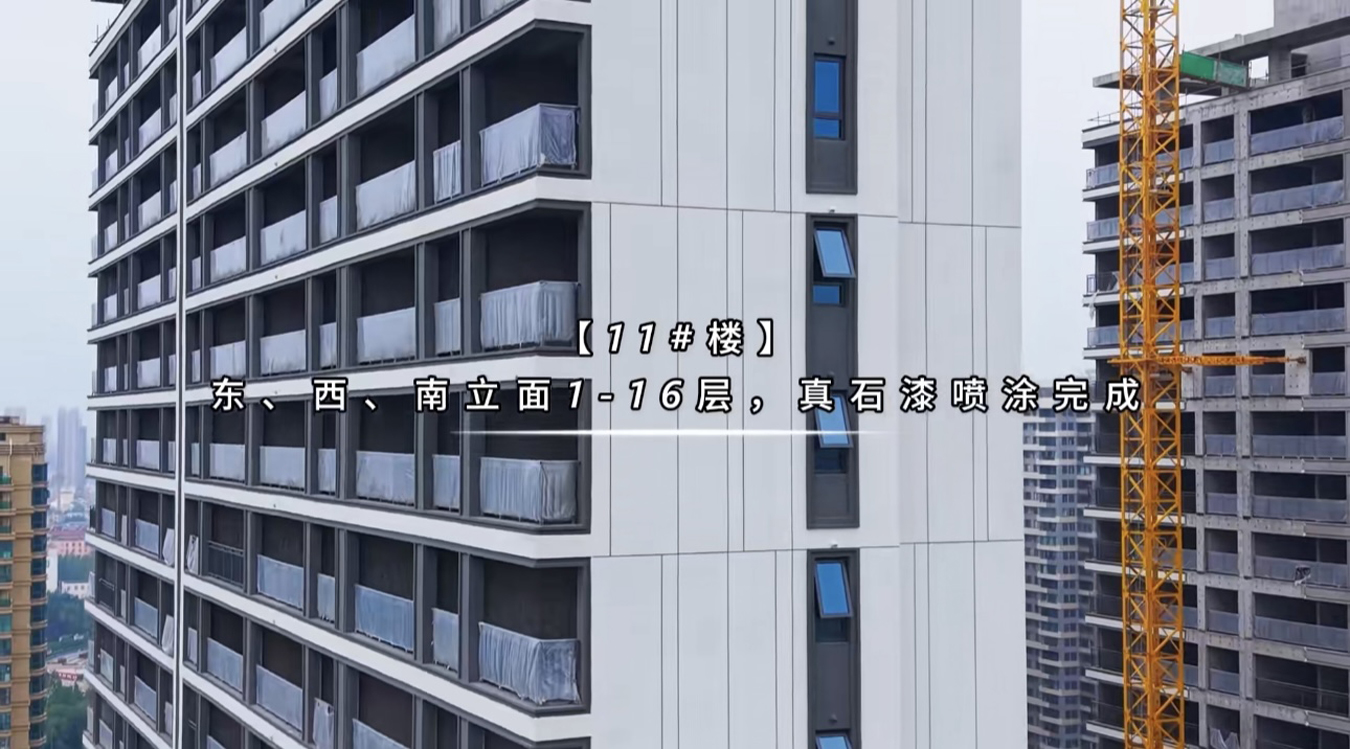3、红澄九璞2025漯河真石漆-6.jpg